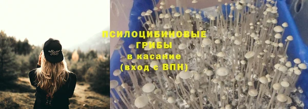 мет Нея